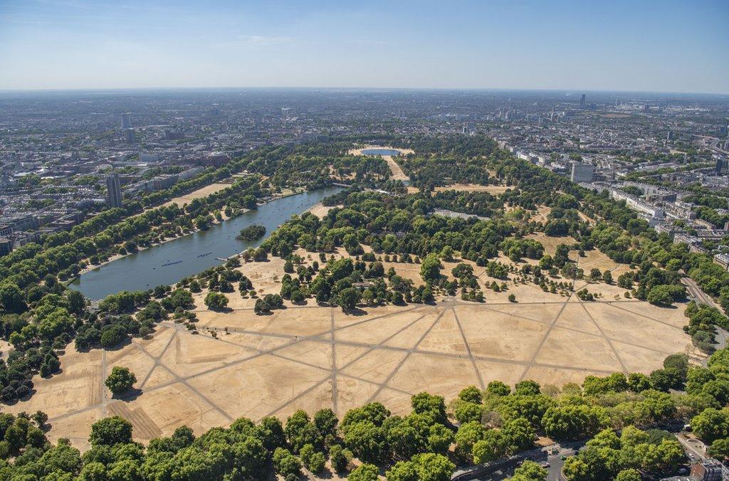 Aerial view of a parched Kensington Gardens and Hyde Park