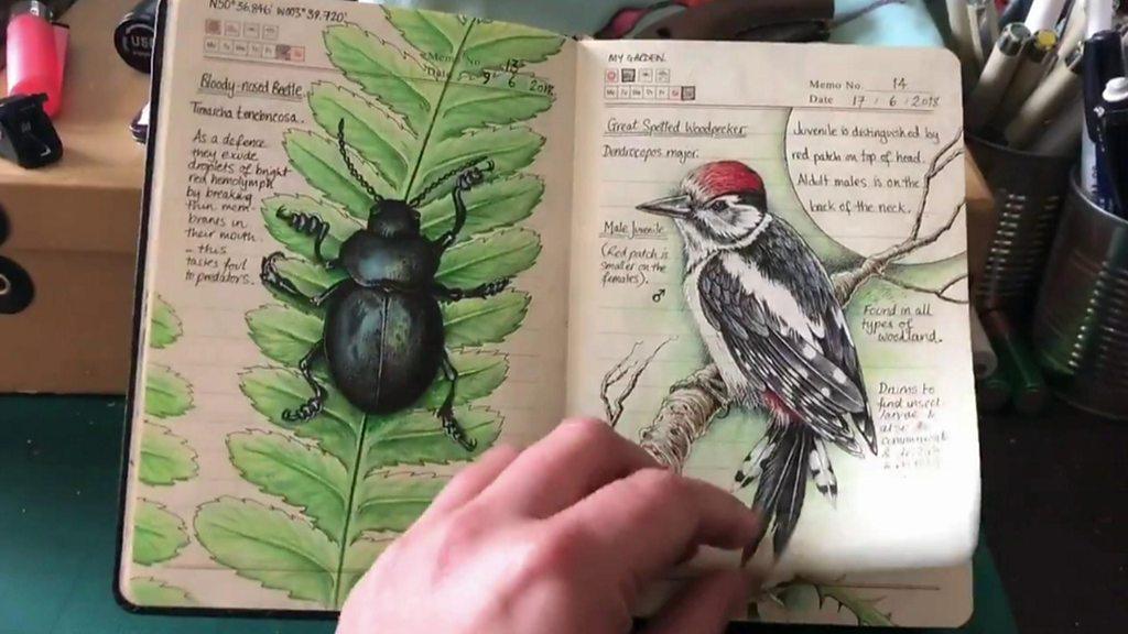 Artist's nature journal