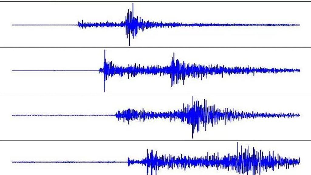 seismograph