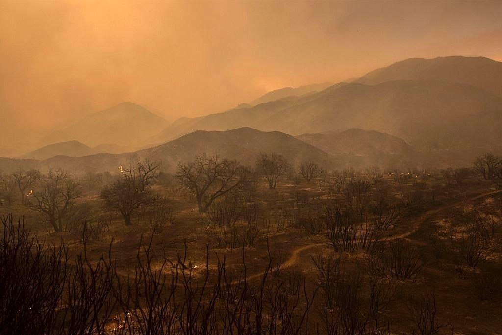 Devastated landscape