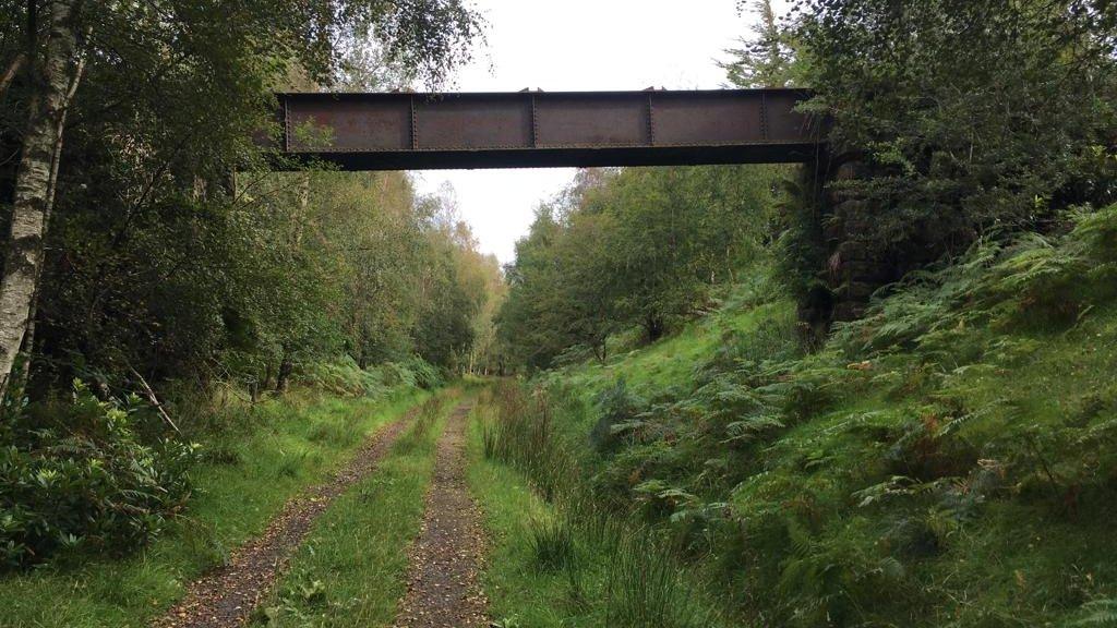 A leafy track which was a railway line with a bridge above