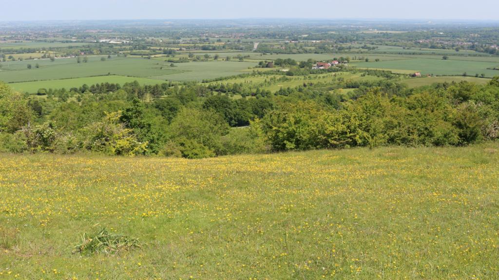 BBC Local Live Beds, Herts & Bucks BBC News