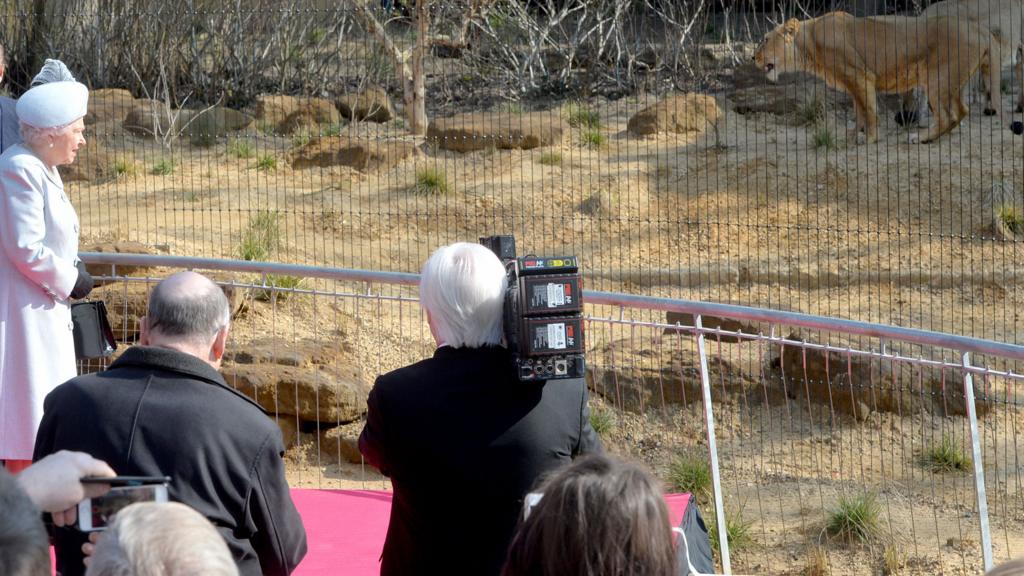 Queen at London Zoo