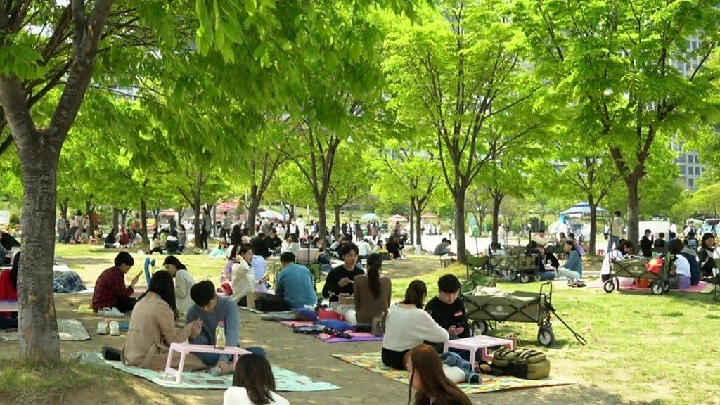 People picnic in a park