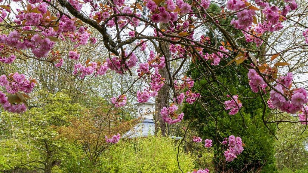 Swindon's Old Town Gardens