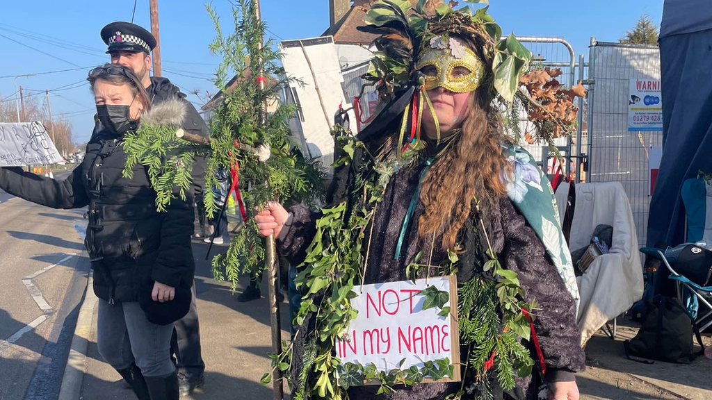 Rochford oak tree protester