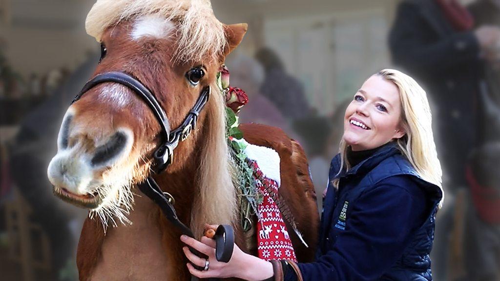 Jack the Shetland pony and his handler Ali Stearn