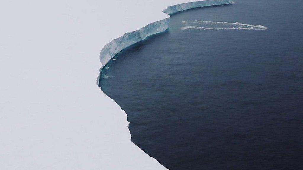 iceberg