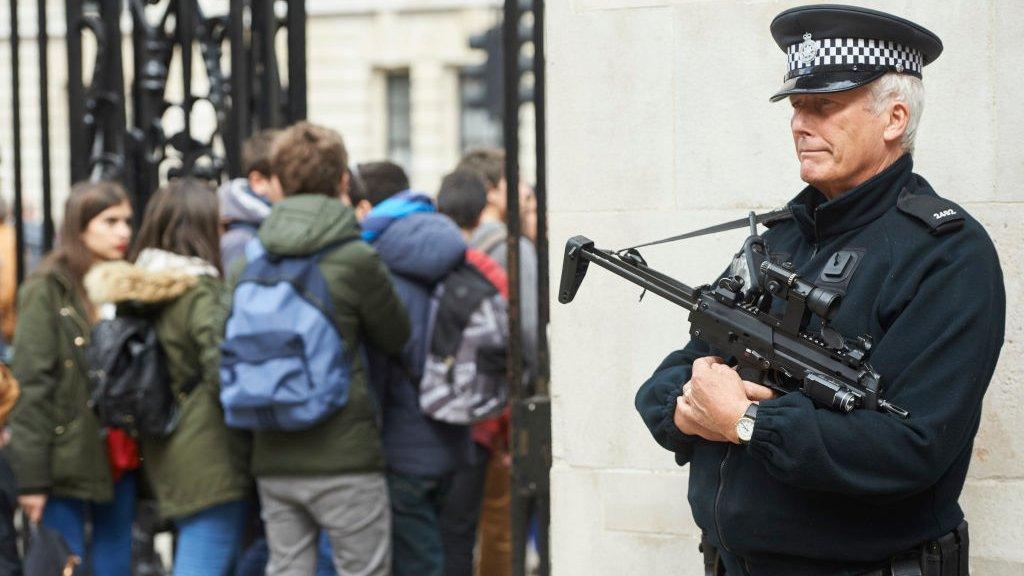 A Met Police firearms officer in Westminster