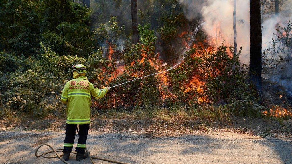 wildfires-australia.