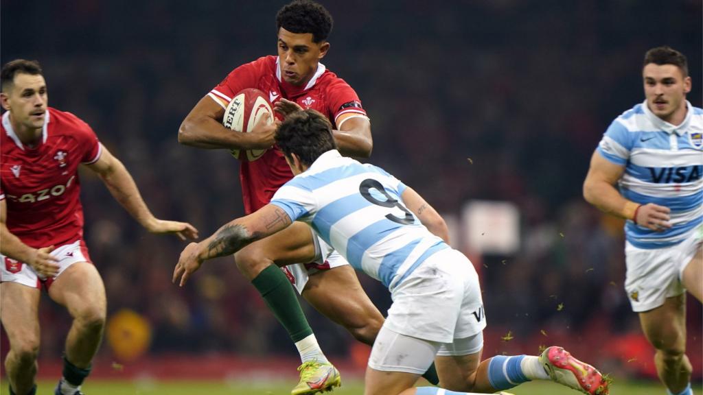 Wales v Argentina