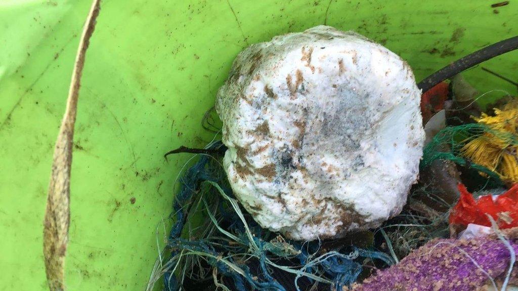 Washed up palm oil in bucket