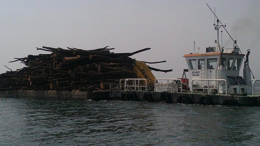 Timber from the lake is loaded on to a barge before it is transported to a saw mill.