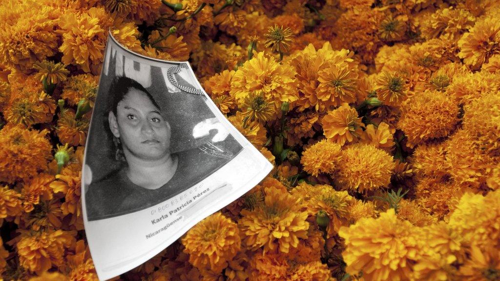 A picture of a disappeared migrant on top of marigolds