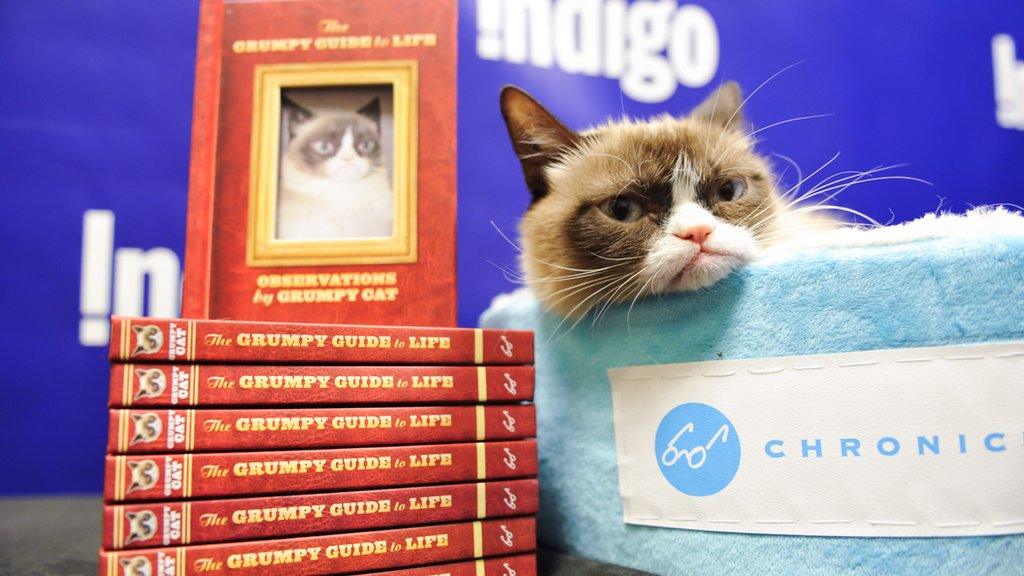 grumpy cat book.