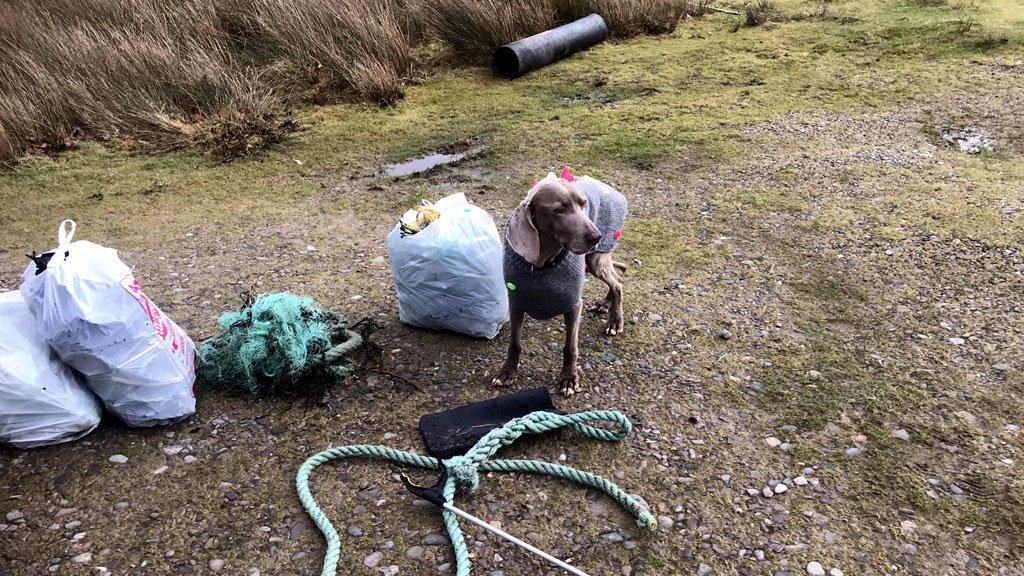 Beach clean at Glenelg