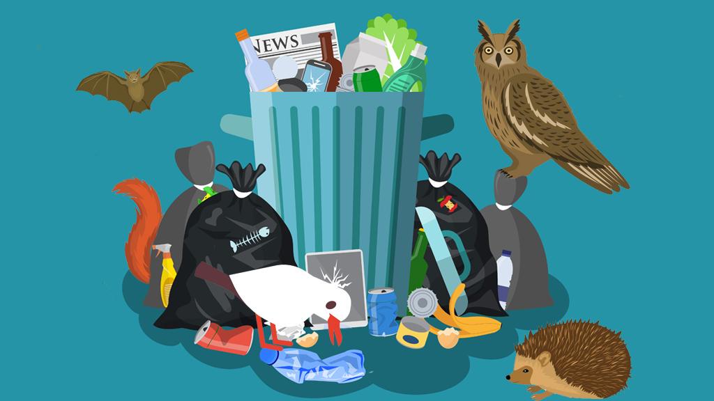 Animation showing animals surrounding litter