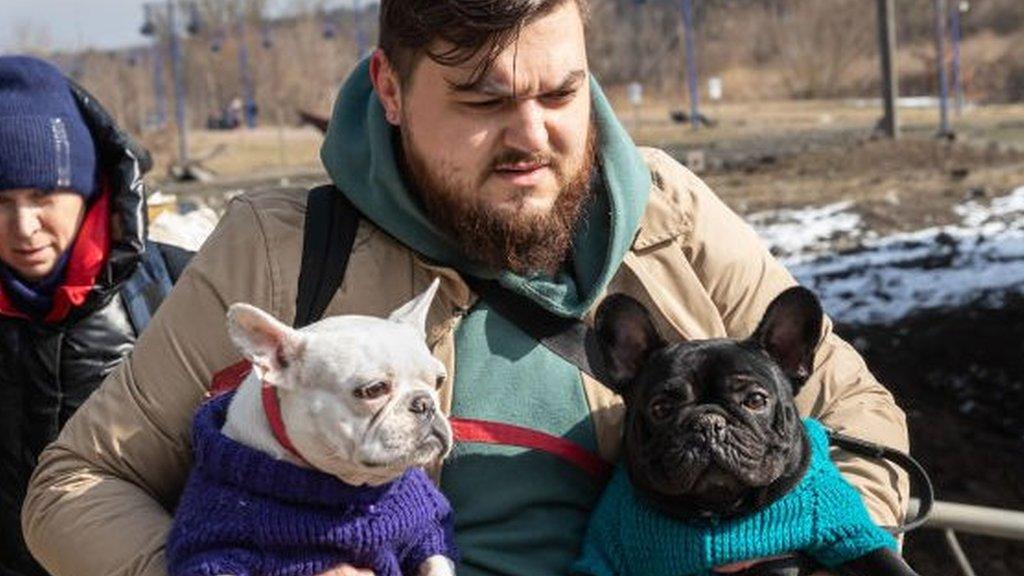 A man carrying his two dogs