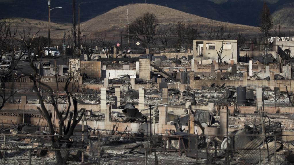 Burnt trees and houses in the US town of Lahaina