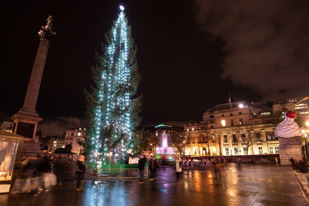 Trafalgar sq tree