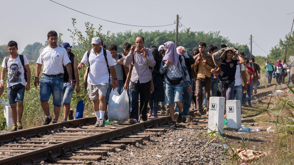 A group of migrants cross the border from Serbia into Hungary close to the village of Roszke