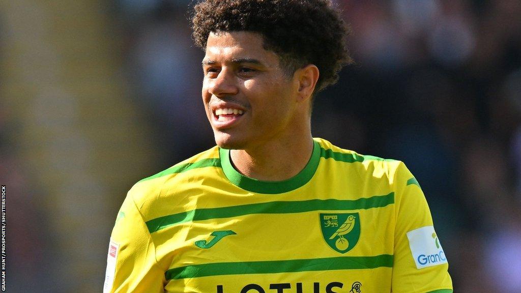 Gabriel Sara set Norwich on the way with his first goal since 12 August