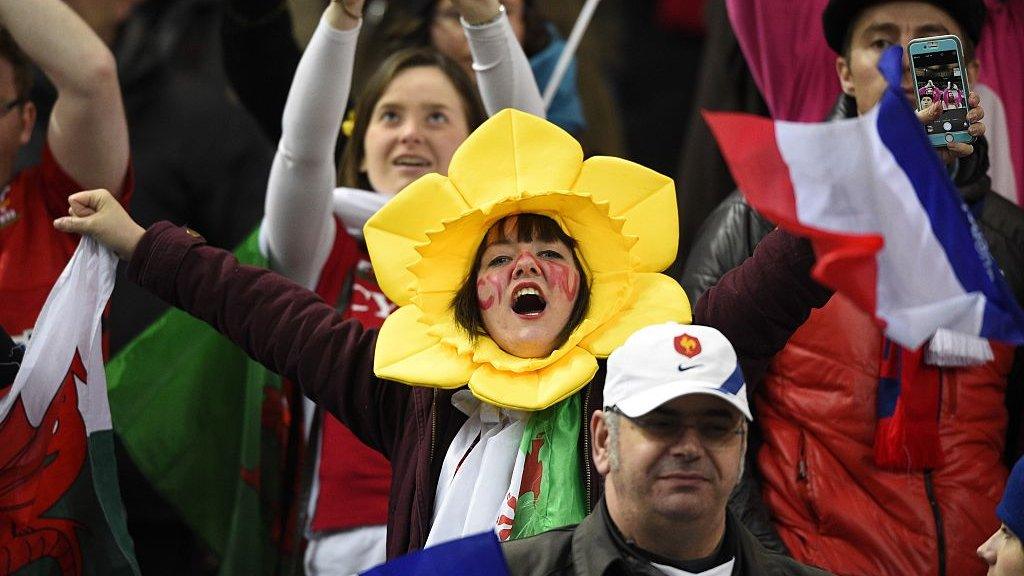 A woman wearing a daffodil hat at a Wales v France Six Nations match