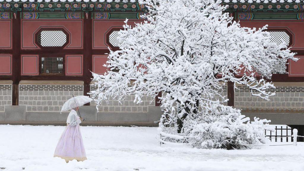 A woman in a long pink dress walks along the Gyeongbok Palace.