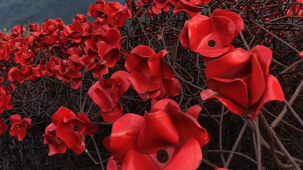 Poppy's at Yorkshire Sculpture Park