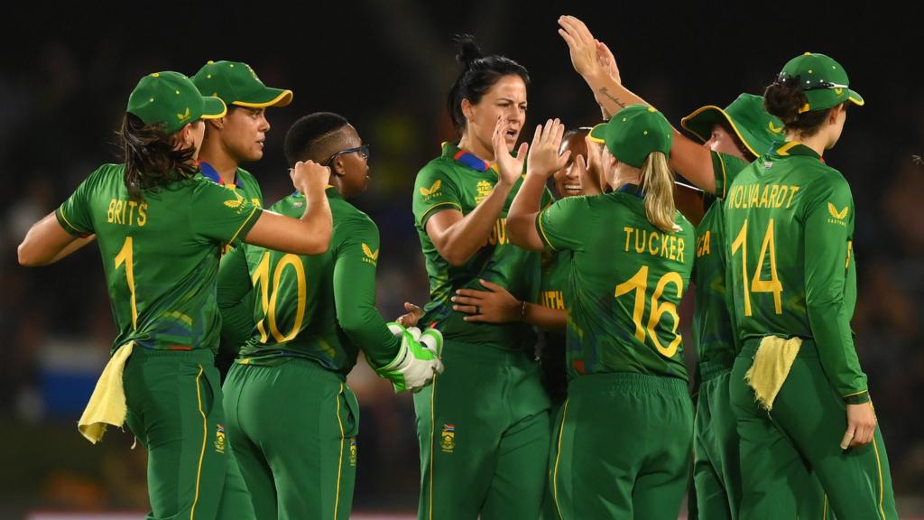 South Africa players celebrate a wicket