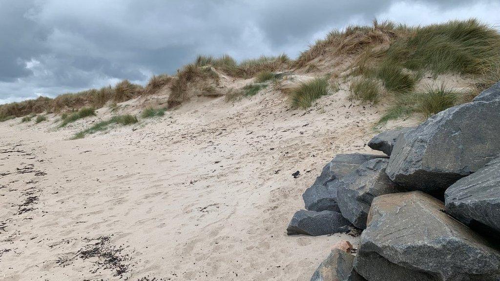 Sand dunes at Grandes Rocques, Guernsey