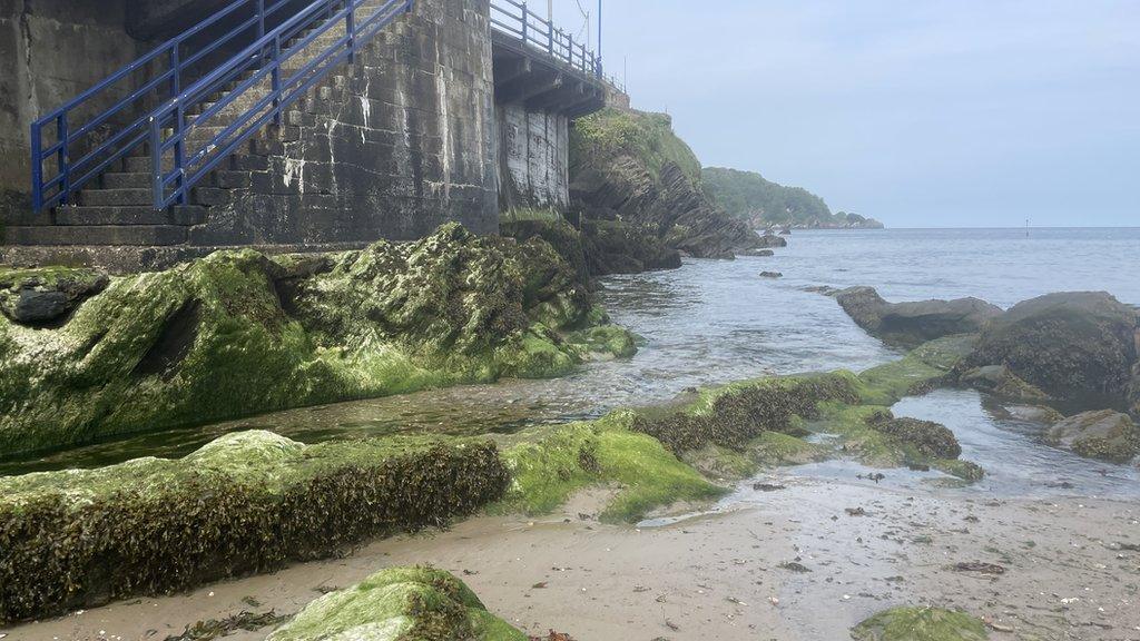 The River Umber at Combe Martin