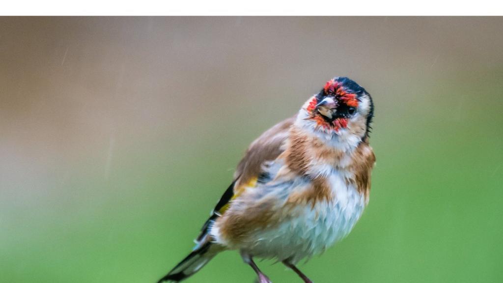 Oxfordshire Live Tuesday 17 January BBC News