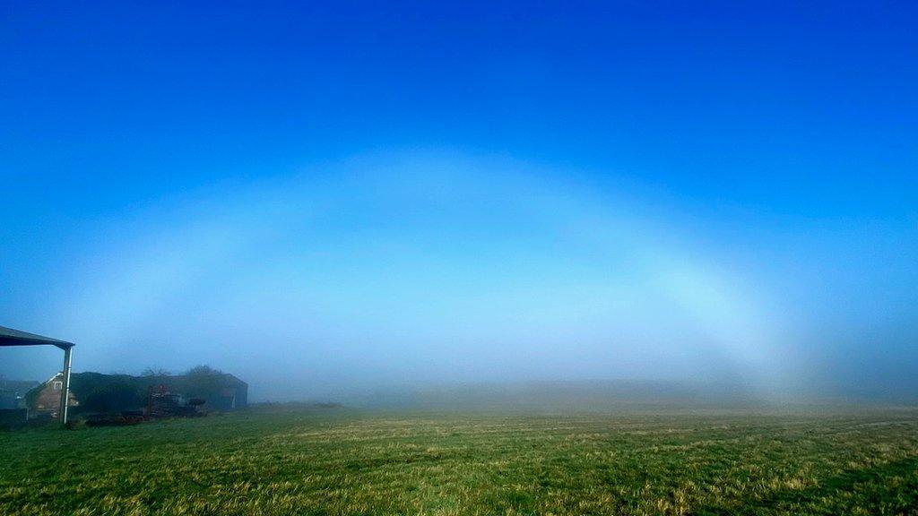 Fogbow