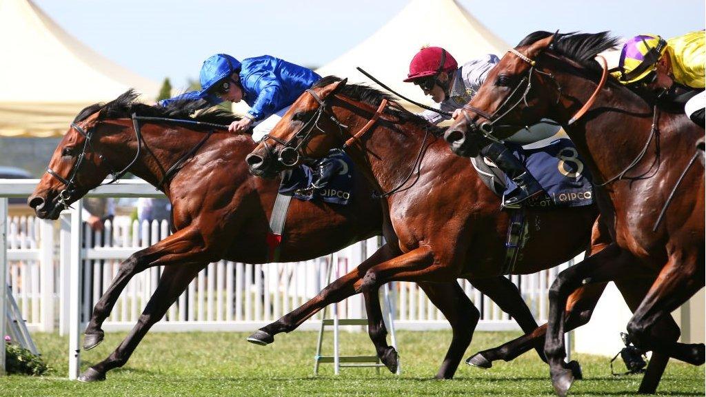 Coroebus won the Prince of Wales's Stakes