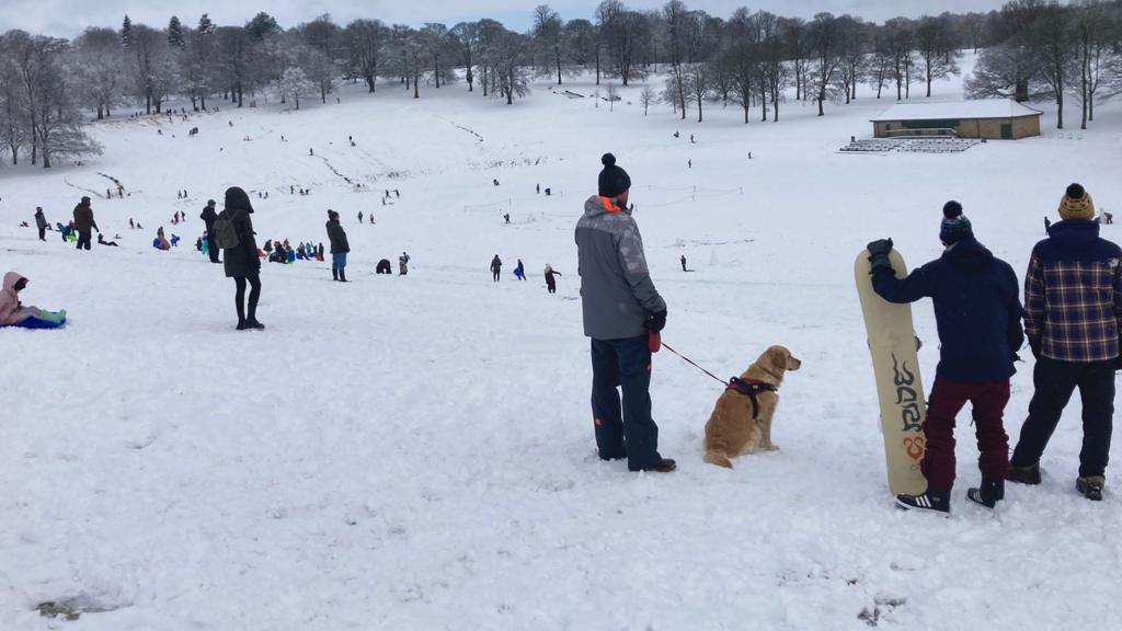 Roundhay park in Leeds