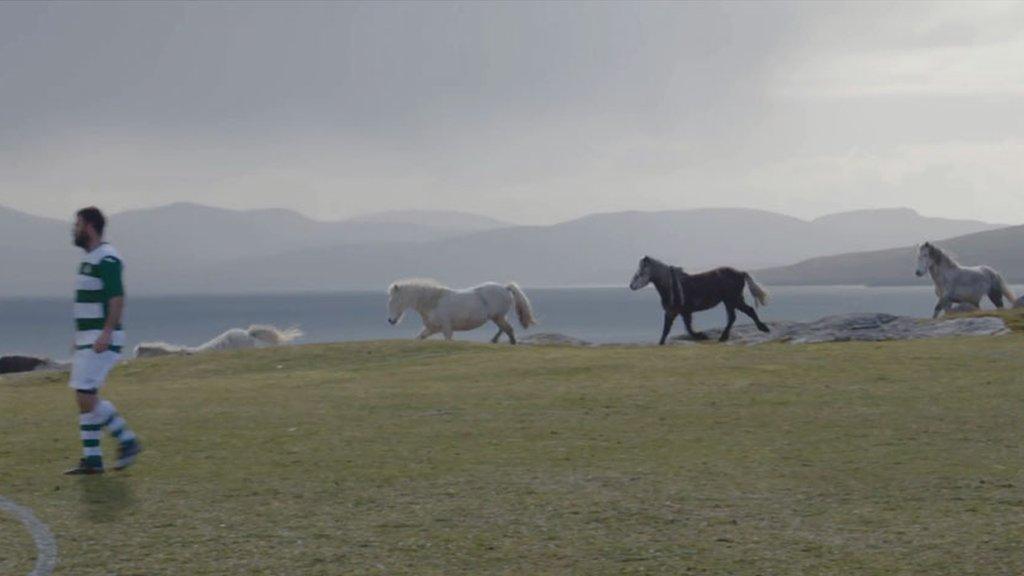 Ponies at Eriskay FC's pitch