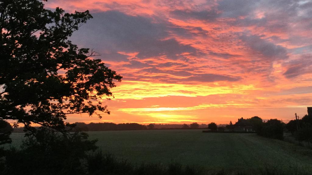 BBC Local Live Essex Wednesday, 18 November 2015 BBC News