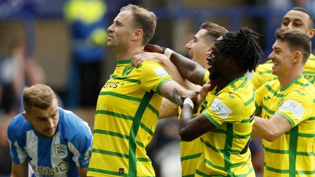 Ashley Barnes celebrates scoring for Norwich City