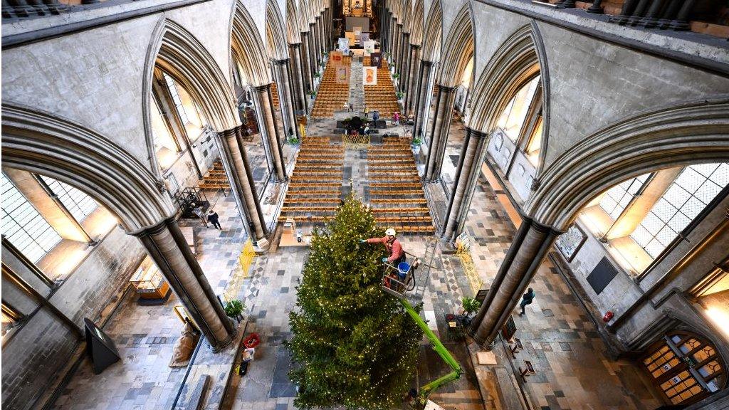 Salisbury Cathedral's 32ft tree