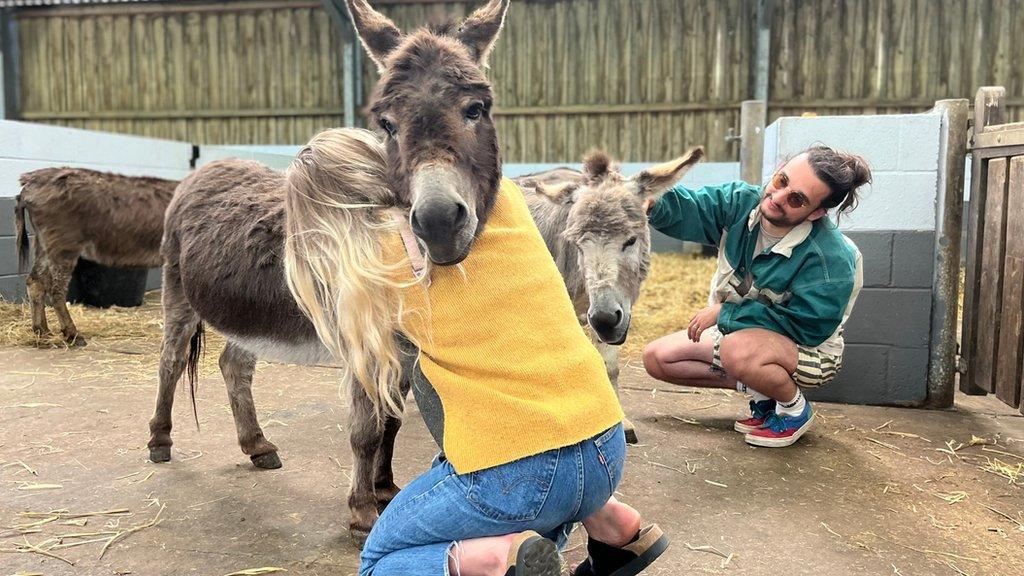 Hester and Josh from Wet Leg cuddle miniature donkeys