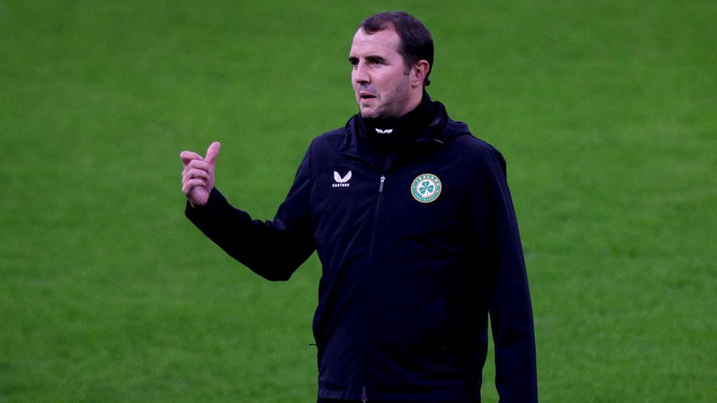 Republic of Ireland interim manager John O'Shea