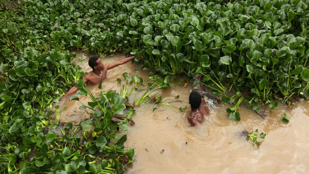 Men in river