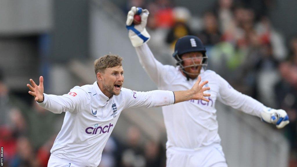 England spinner Joe Root appeals to the umpire for a caught behind