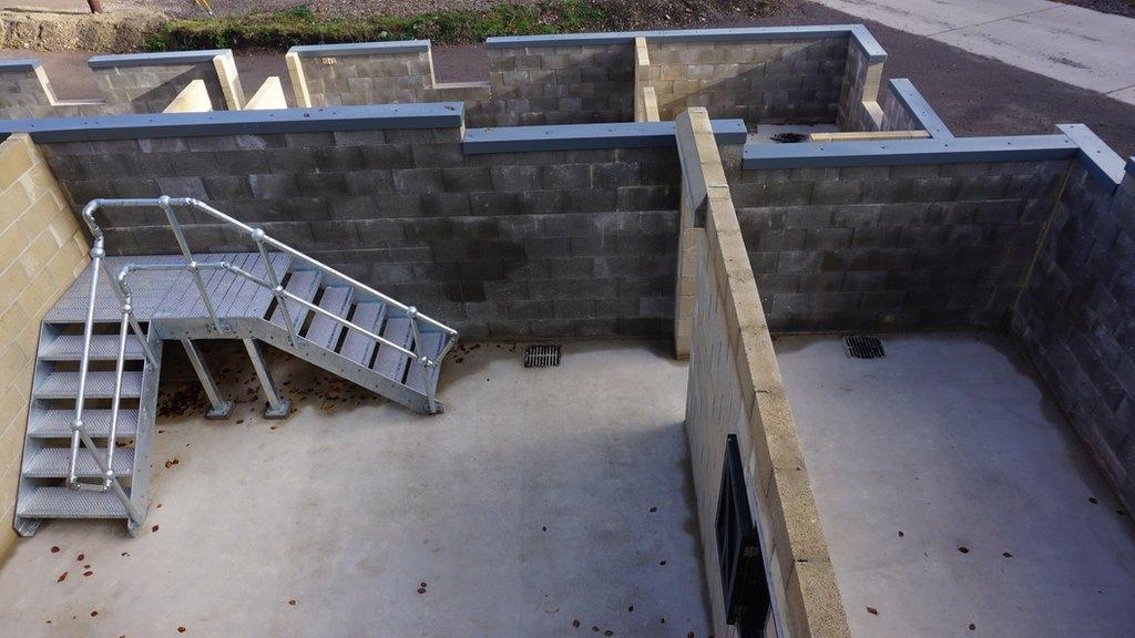 New Zealand Farm Camp