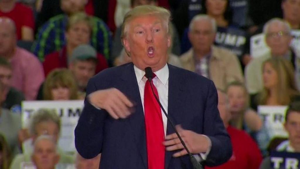 Donald Trump criticised for mocking reporter with disability