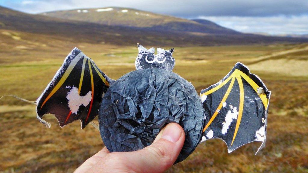 Halloween decoration in Glen Geldie