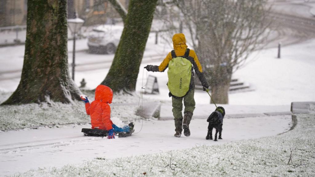 Child on sledge with adult and dog