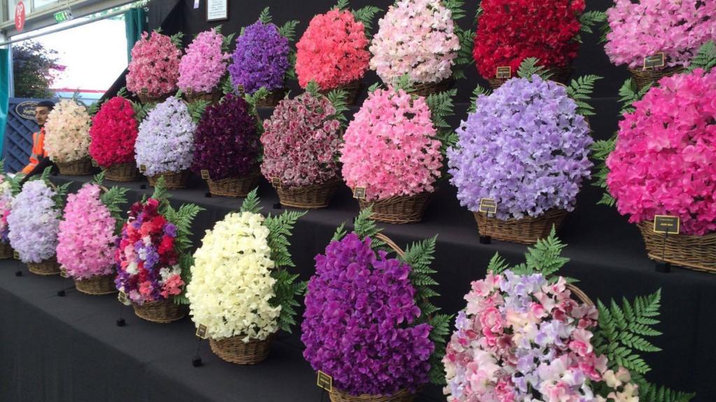 Winning entry at Chelsea Flower Show