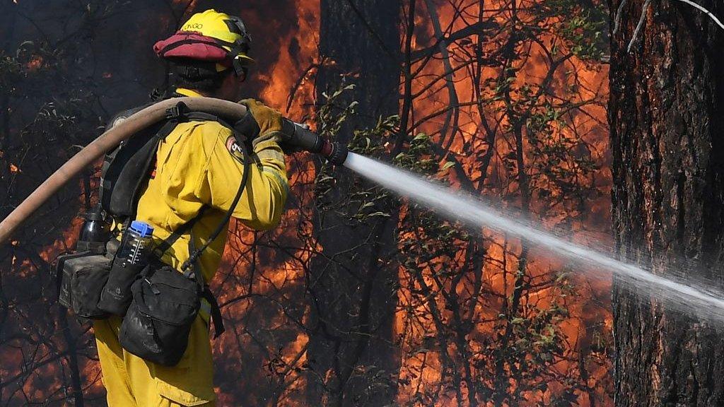 firefighter with hose